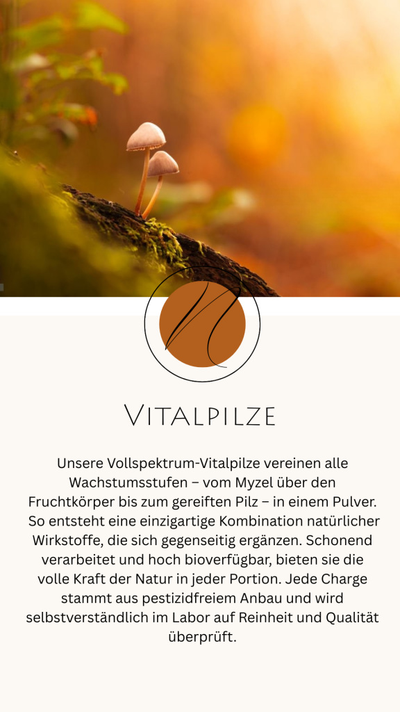 Home kategorie vitalpilze