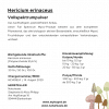 Hericium erinaceus – Löwenmähne Vollspektrumpulver | Kontrollierter Anbau – Bild 3