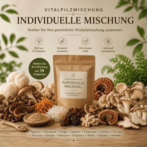 Individuelle Vitalpilzmischung – frei kombinierbare Auswahl aus 14 Vitalpilzen