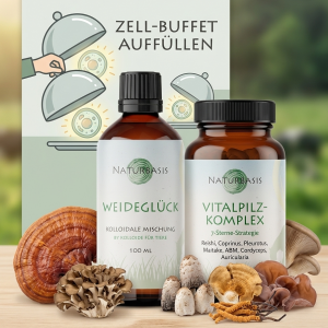 Produktbild des Sicher-auf-die-Weide-Bundles f&uuml;r Pferde, bestehend aus einem Glas Vitalpilzmischung und einer Flasche Kolloidales Weidegl&uuml;ck auf Holzgrund vor einer Weide