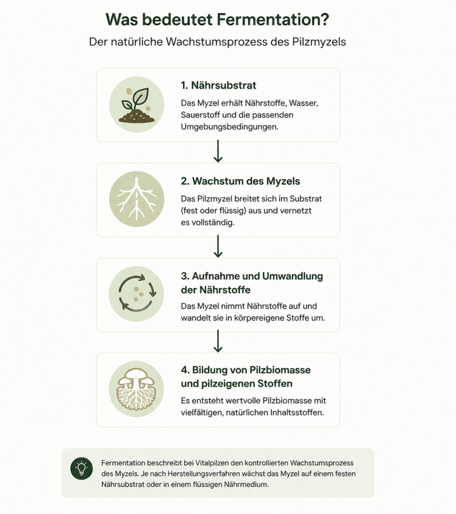 Infografik zum Fermentationsprozess bei Vitalpilzen: Nährsubstrat, Wachstum des Myzels, Aufnahme und Umwandlung von Nährstoffen sowie Bildung von Pilzbiomasse.